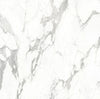 TPX0048 Statuario Marble Texture - Tripix Images