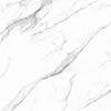 TPX0051 Calacatta Damme Marble - Tripix Images