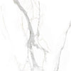 TPX0051 Calacatta Damme Marble - Tripix Images