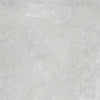TPX0386 Light Grey Cement Surface - Tripix Images