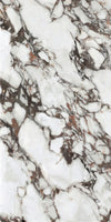 Arabescato Corchia Marble Texture - Tripix Images