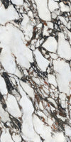 Arabescato Corchia Marble Texture - Tripix Images