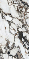 Arabescato Corchia Marble Texture - Tripix Images