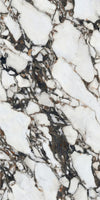 Arabescato Corchia Marble Texture - Tripix Images