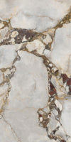 Breccia Wine Marble Texture