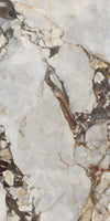 Breccia Wine Marble Texture