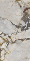 Breccia Wine Marble Texture