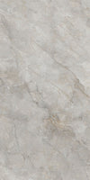 Silver Birch Marble Texture