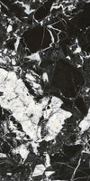 Panda Noir Marble Texture