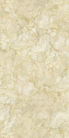 TPX1241 - Tripix Images