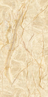 TPX1242 - Tripix Images