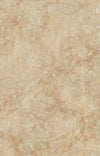 TPX1246 - Tripix Images