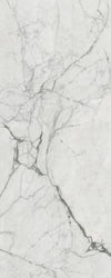 TPX1318 - Tripix Images