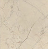 TPX1369 - Tripix Images