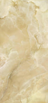 TPX1381 - Tripix Images