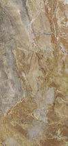 TPX1382 - Tripix Images