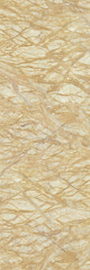 TPX1453 - Tripix Images