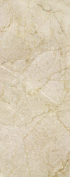 TPX1467 - Tripix Images