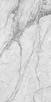 TPX1520 - Tripix Images