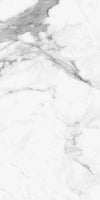 TPX1537 - Tripix Images