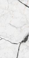 TPX1544 - Tripix Images