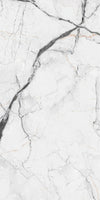 TPX1544 - Tripix Images