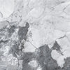 TPX1609 - Tripix Images