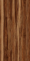 TPX1662 - Tripix Images