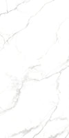 TPX1685 - Tripix Images