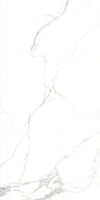 TPX1685 - Tripix Images
