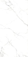 TPX1685 - Tripix Images