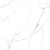 TPX1692 - Tripix Images