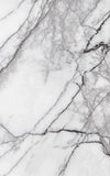 TPX1708 - Tripix Images