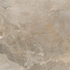 TPX1731 - Tripix Images