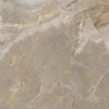 TPX1731 - Tripix Images