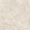 TPX1743 - Tripix Images