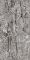 TPX1858 - Tripix Images