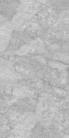 TPX1950 - Tripix Images