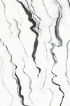 TPX0032 Dramatic Veined Marble - Tripix Images