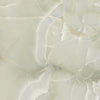 TPX0121 - Tripix Images