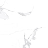 TPX0540 - Tripix Images