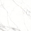 TPX0542 - Tripix Images