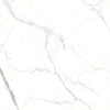 TPX0542 - Tripix Images