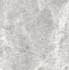 TPX0672 - Tripix Images
