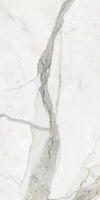 TPX0680 - Tripix Images