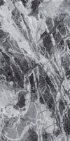 TPX0717 - Tripix Images