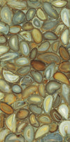 TPX1133 - Tripix Images