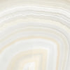TPX1134 - Tripix Images