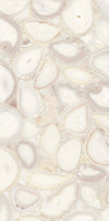 TPX1136 - Tripix Images
