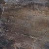 TPX1143 - Tripix Images